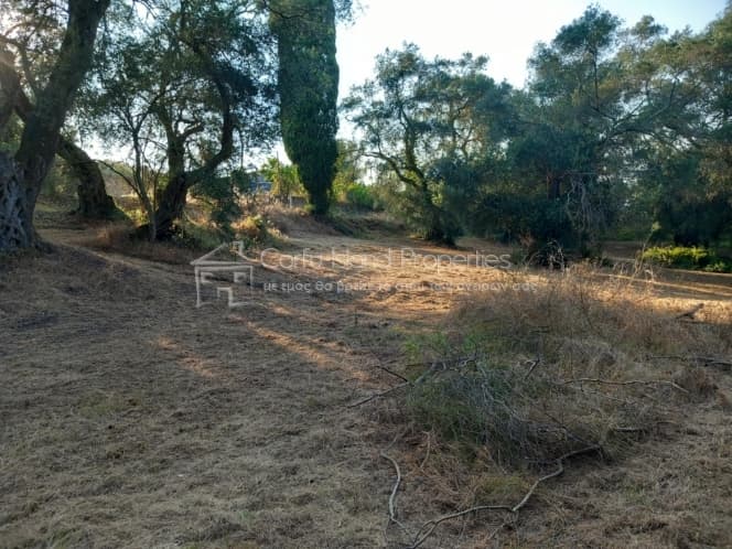 Οικόπεδο στην Αχίλλειο, Κέρκυρα — Φωτογραφία 5 από 16
