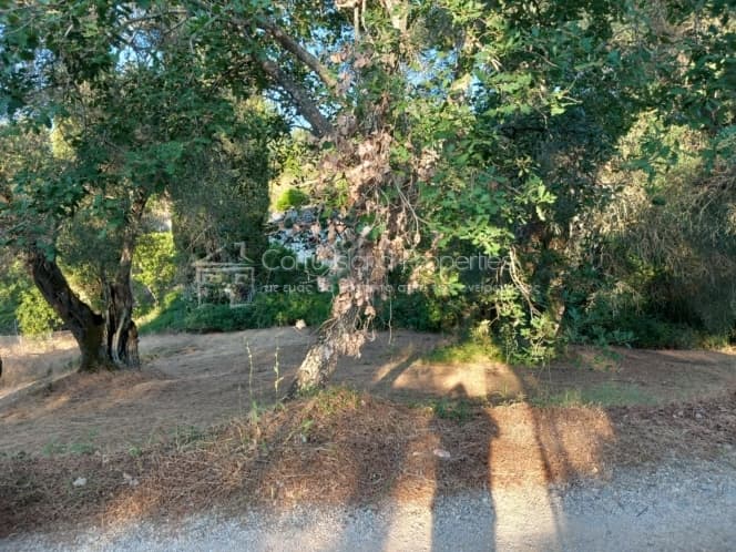 Οικόπεδο στην Αχίλλειο, Κέρκυρα — Φωτογραφία 13 από 16