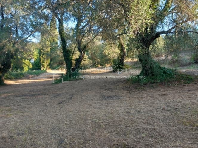 Οικόπεδο στην Αχίλλειο, Κέρκυρα — Φωτογραφία 9 από 16