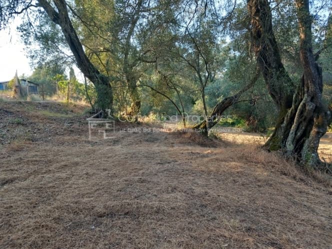 Οικόπεδο στην Αχίλλειο, Κέρκυρα — Φωτογραφία 8 από 16