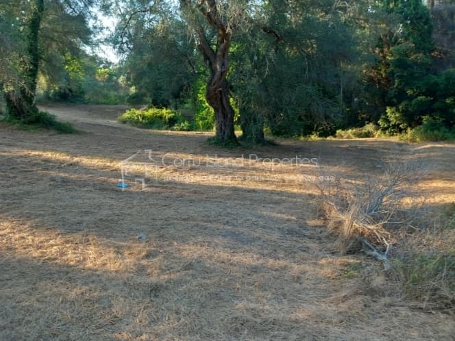 Οικόπεδο στην Αχίλλειο, Κέρκυρα — Φωτογραφία 2 από 16