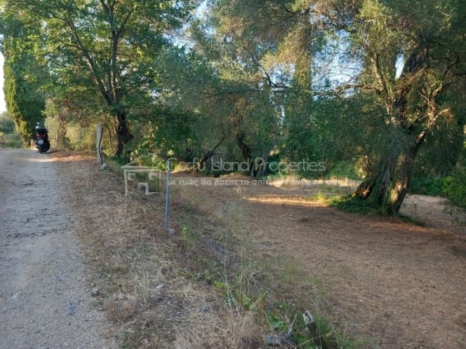Οικόπεδο στην Αχίλλειο, Κέρκυρα — Φωτογραφία 14 από 16