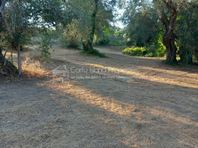 Οικόπεδο στην Αχίλλειο, Κέρκυρα — Φωτογραφία 3 από 16