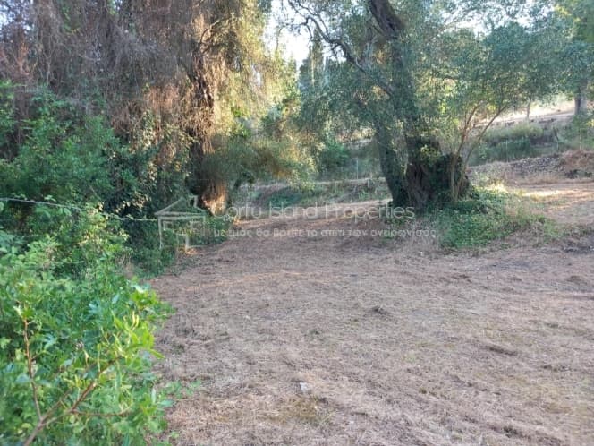 Οικόπεδο στην Αχίλλειο, Κέρκυρα — Φωτογραφία 12 από 16