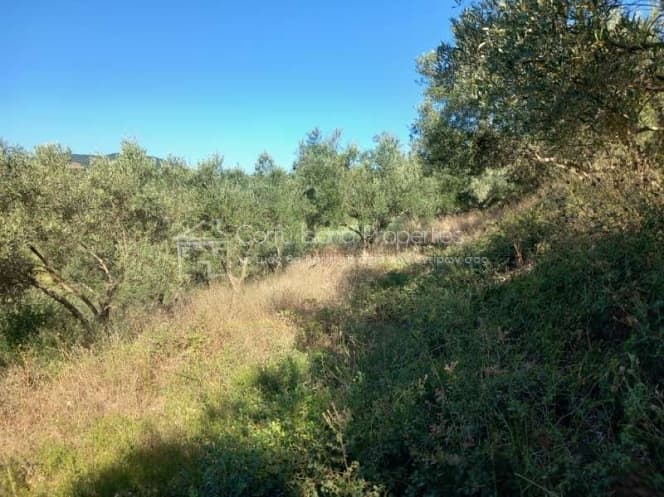 Building Plot in Faiakes, Corfu — Photo 6 of 14