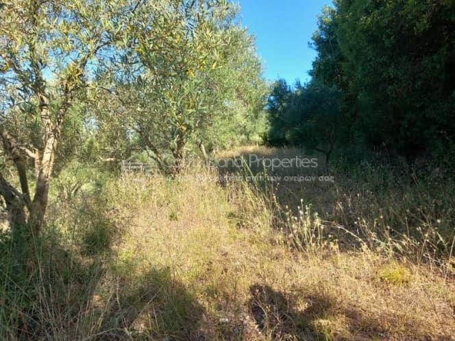 Building Plot in Faiakes, Corfu — Photo 10 of 14