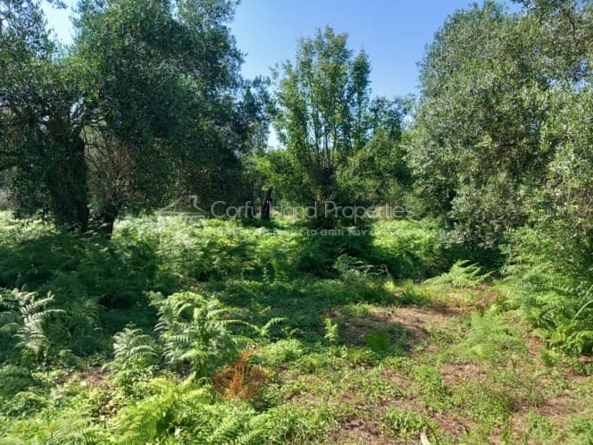 Οικόπεδο στην Κασσιόπη, Κέρκυρα — Φωτογραφία 12 από 16