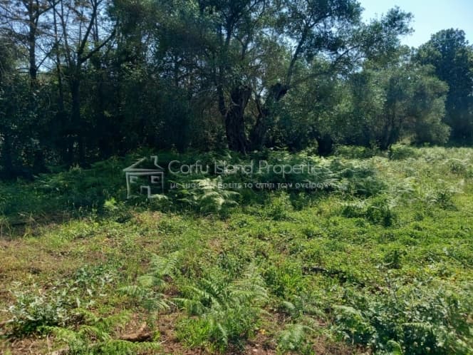 Οικόπεδο στην Κασσιόπη, Κέρκυρα — Φωτογραφία 11 από 16