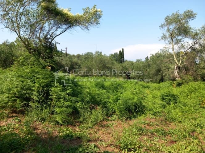 Οικόπεδο στην Κασσιόπη, Κέρκυρα — Φωτογραφία 8 από 16