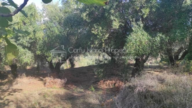 Οικόπεδο στην Άγιος Γεώργιος, Κέρκυρα — Φωτογραφία 10 από 12
