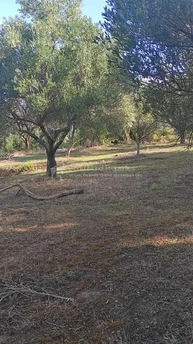 Οικόπεδο στην Άγιος Γεώργιος, Κέρκυρα — Φωτογραφία 11 από 12