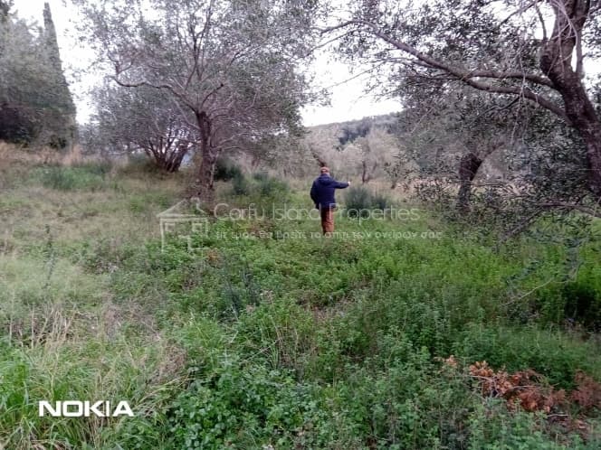 Οικόπεδο στην Άγιος Γεώργιος, Κέρκυρα — Φωτογραφία 7 από 19