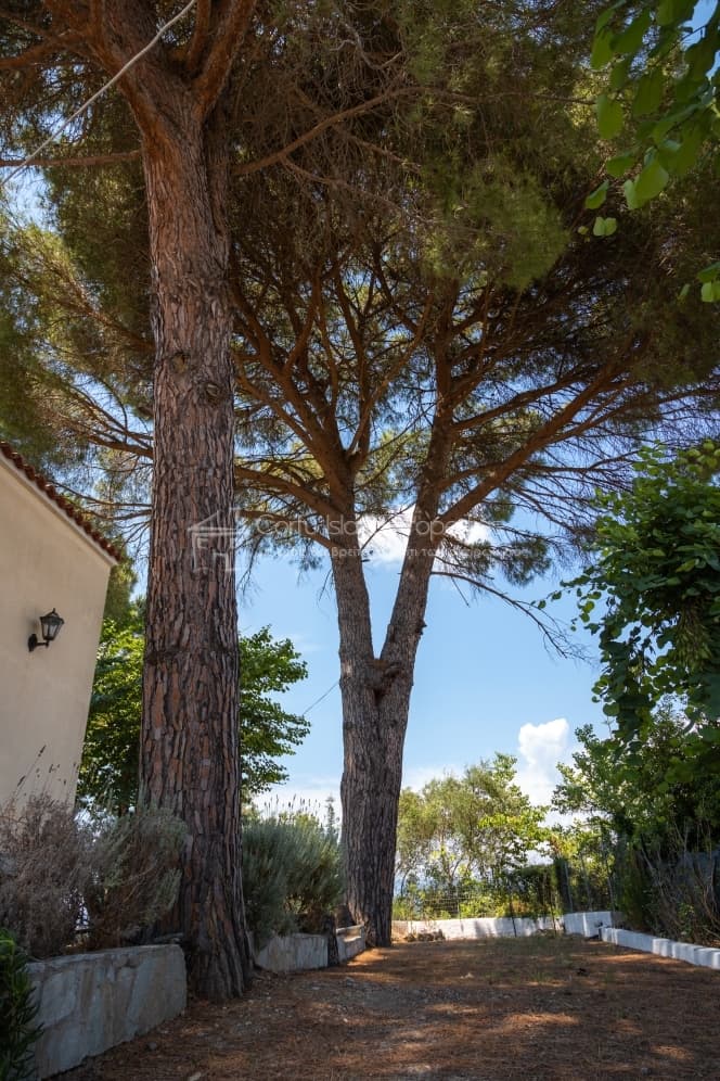 Μονοκατοικία στην Παρέλι, Κέρκυρα — Φωτογραφία 12 από 30