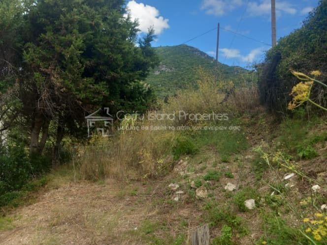 Parcel in Melitieoi, Corfu — Photo 9 of 21