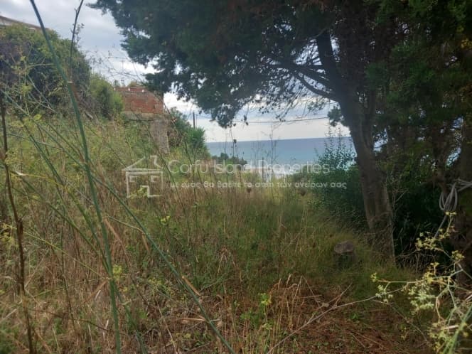 Parcel in Melitieoi, Corfu — Photo 13 of 21