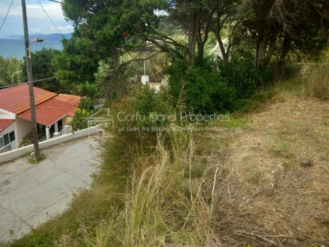 Parcel in Melitieoi, Corfu — Photo 14 of 21