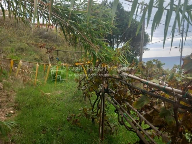 Parcel in Melitieoi, Corfu — Photo 11 of 21