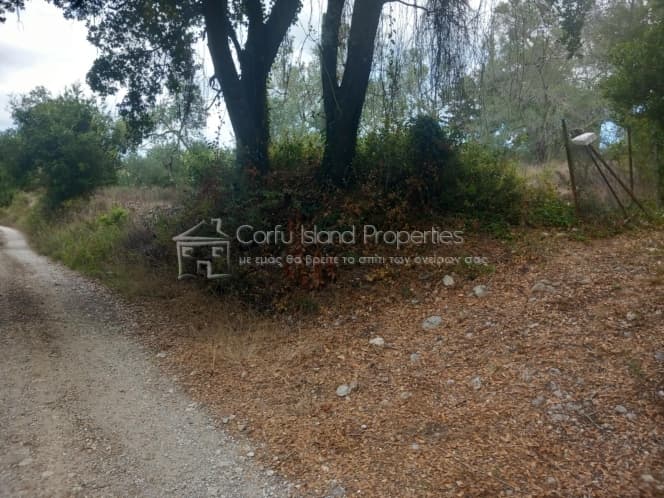 Parcel in Achilleio, Corfu — Photo 5 of 6