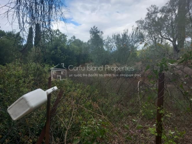 Parcel in Achilleio, Corfu — Photo 3 of 6