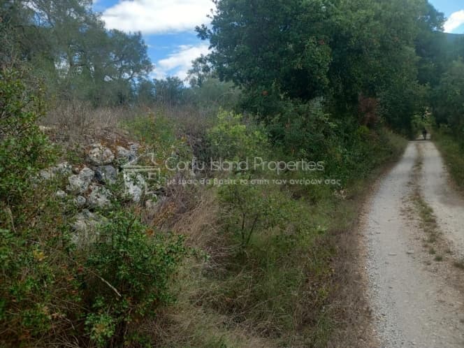 Parcel in Achilleio, Corfu — Photo 4 of 6