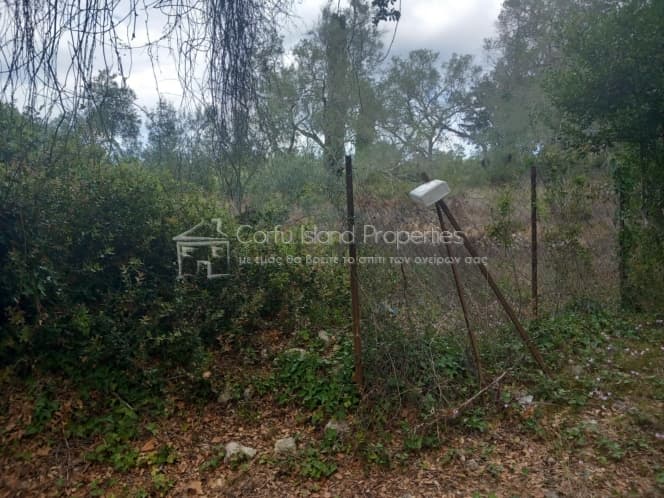 Parcel in Achilleio, Corfu — Photo 2 of 6