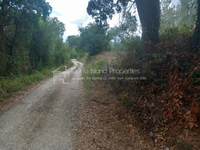 Parcel in Achilleio, Corfu — Photo 6 of 6