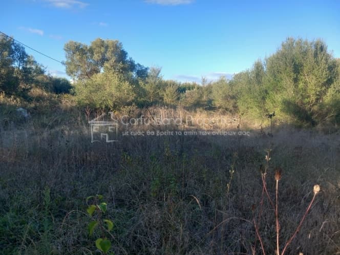 Οικόπεδο στην Φαίακες, Κέρκυρα — Φωτογραφία 4 από 8