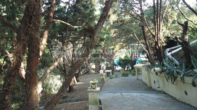 Ξενοδοχείο στην Άγιος Γεώργιος, Κέρκυρα — Φωτογραφία 19 από 30