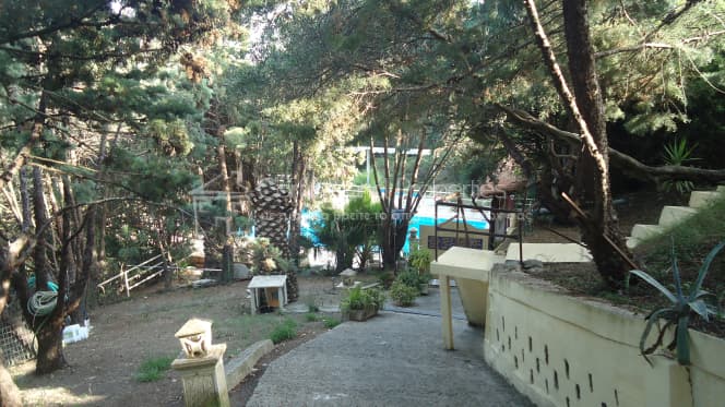 Ξενοδοχείο στην Άγιος Γεώργιος, Κέρκυρα — Φωτογραφία 20 από 30