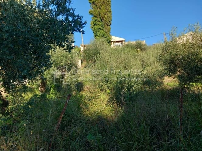 Οικόπεδο στην Παρέλι, Κέρκυρα — Φωτογραφία 21 από 22