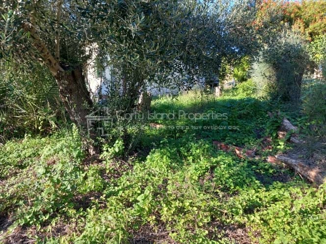Οικόπεδο στην Παρέλι, Κέρκυρα — Φωτογραφία 4 από 22