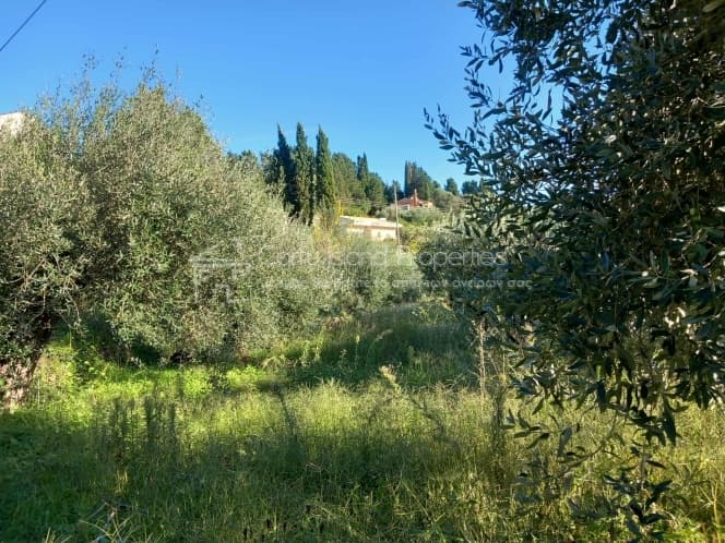 Οικόπεδο στην Παρέλι, Κέρκυρα — Φωτογραφία 19 από 22