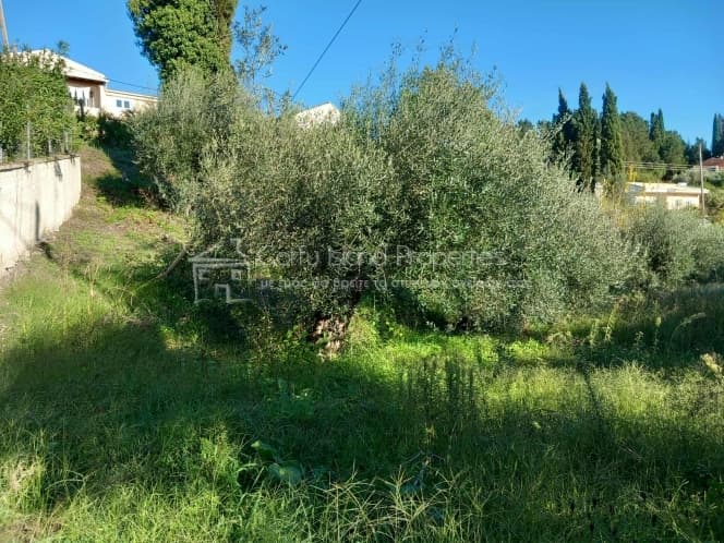 Οικόπεδο στην Παρέλι, Κέρκυρα — Φωτογραφία 6 από 22