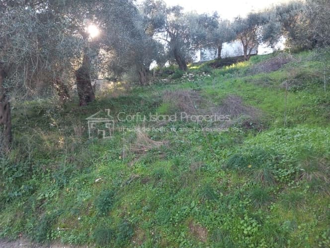 Οικόπεδο στην Παρέλι, Κέρκυρα — Φωτογραφία 6 από 10