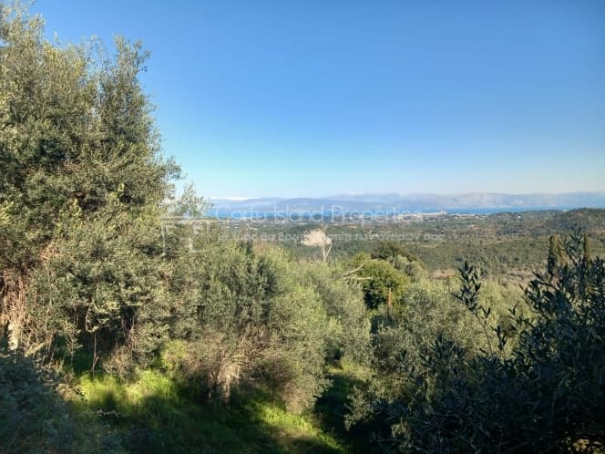 Οικόπεδο στην Παρέλι, Κέρκυρα — Φωτογραφία 1 από 10