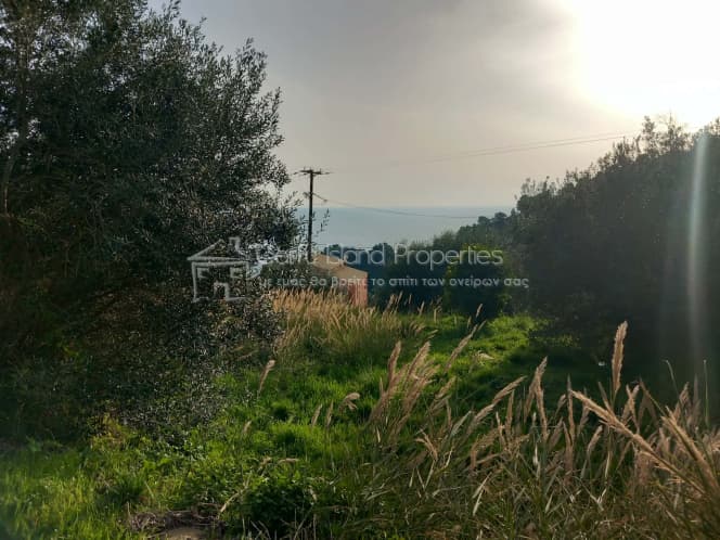 Οικόπεδο στην Παρέλι, Κέρκυρα — Φωτογραφία 5 από 24