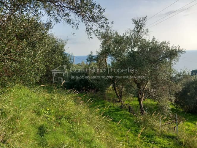 Οικόπεδο στην Παρέλι, Κέρκυρα — Φωτογραφία 11 από 24