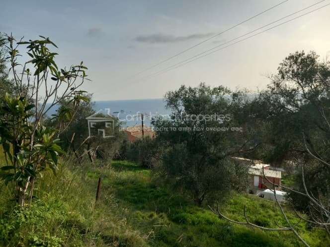 Οικόπεδο στην Παρέλι, Κέρκυρα — Φωτογραφία 2 από 24