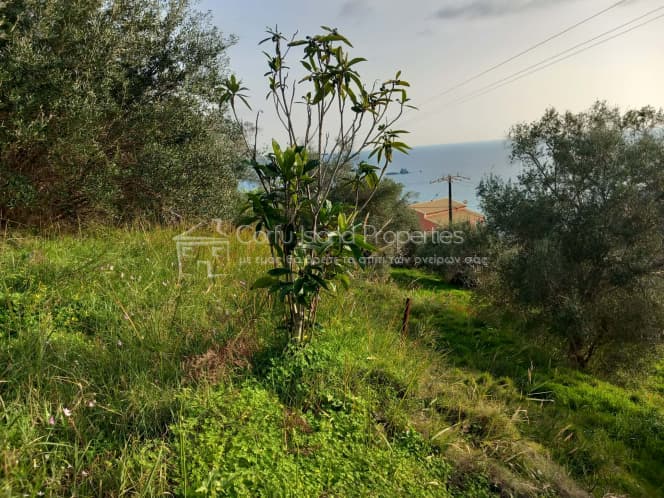Οικόπεδο στην Παρέλι, Κέρκυρα — Φωτογραφία 6 από 24