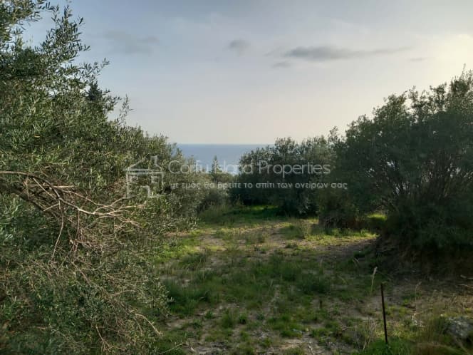 Οικόπεδο στην Παρέλι, Κέρκυρα — Φωτογραφία 9 από 24