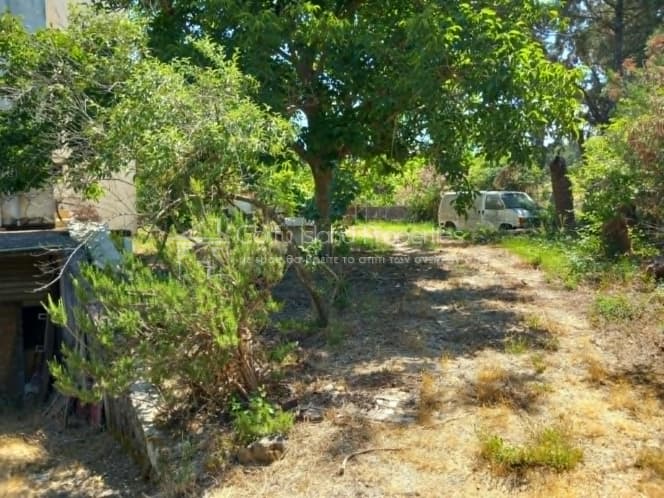 Μονοκατοικία στην Παρέλι, Κέρκυρα — Φωτογραφία 2 από 30