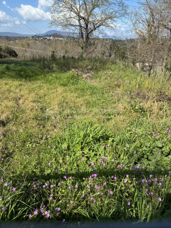Οικόπεδο στην Παρέλι, Κέρκυρα — Φωτογραφία 2 από 21
