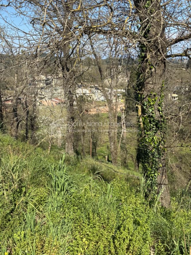 Οικόπεδο στην Παρέλι, Κέρκυρα — Φωτογραφία 13 από 21