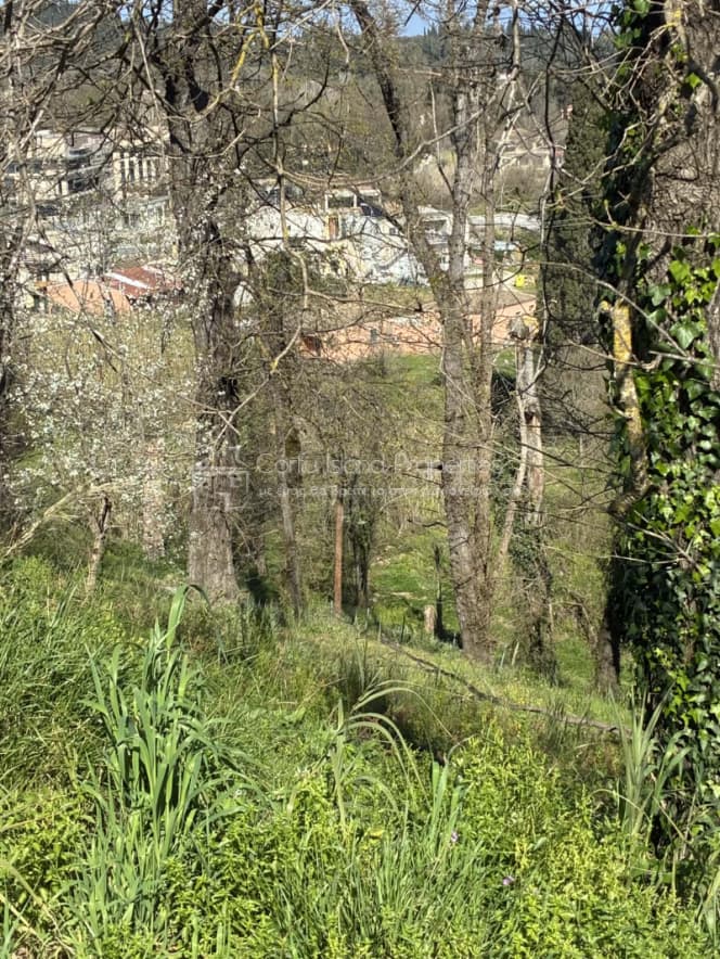 Οικόπεδο στην Παρέλι, Κέρκυρα — Φωτογραφία 12 από 21