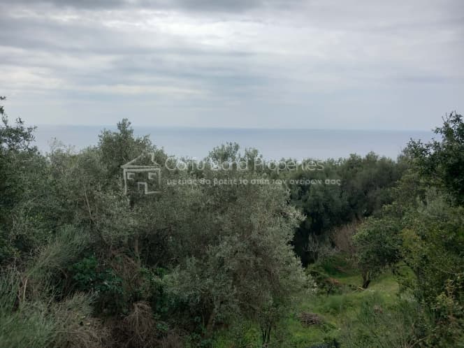 Οικόπεδο στην Αχίλλειο, Κέρκυρα — Φωτογραφία 7 από 18