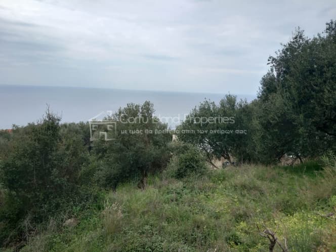 Οικόπεδο στην Αχίλλειο, Κέρκυρα — Φωτογραφία 6 από 18