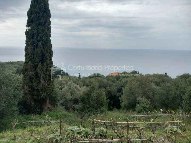Οικόπεδο στην Αχίλλειο, Κέρκυρα — Φωτογραφία 1 από 18