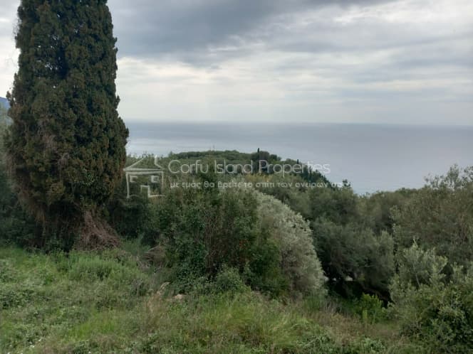 Οικόπεδο στην Αχίλλειο, Κέρκυρα — Φωτογραφία 3 από 18