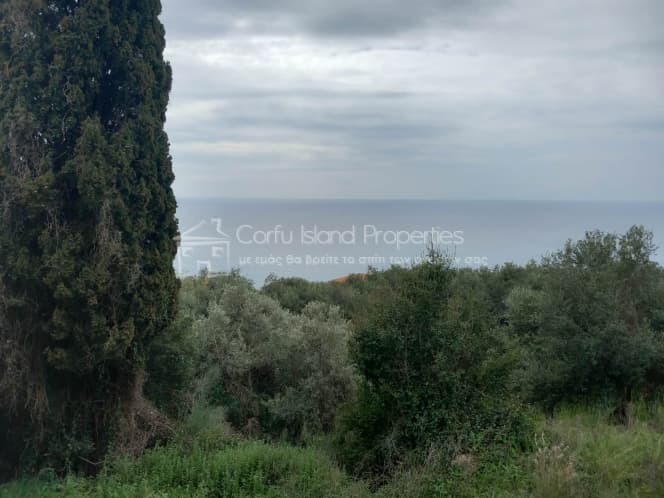 Οικόπεδο στην Αχίλλειο, Κέρκυρα — Φωτογραφία 5 από 18
