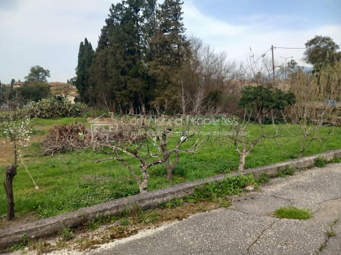 Οικόπεδο στην Παρέλι, Κέρκυρα — Φωτογραφία 7 από 13